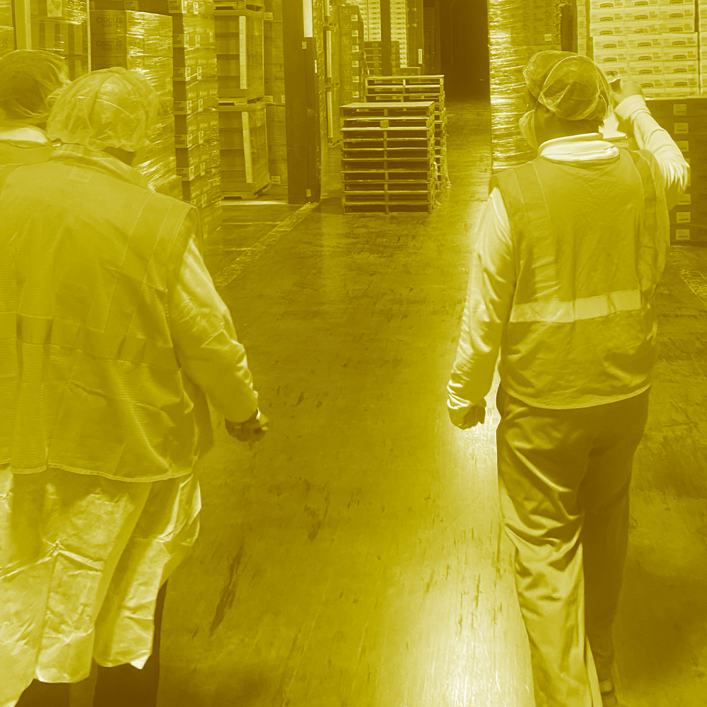 Image of two employees checking inventory in a warehouse